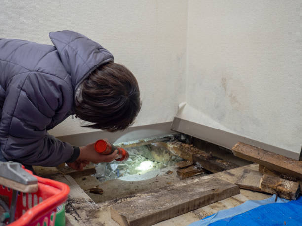 Best Real Estate Mold Inspection  in Arcadia, IN
