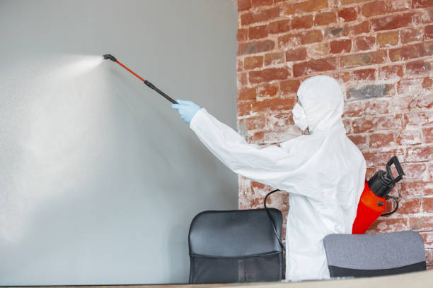 Best Residential Mold Inspection & Testing  in Arcadia, IN
