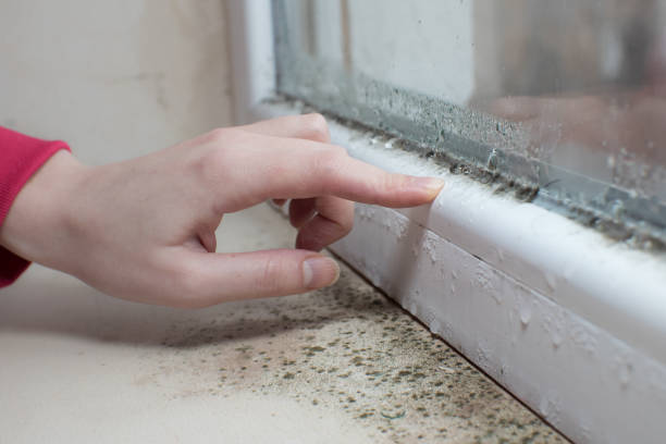 Dehumidification Services in Arcadia, IN