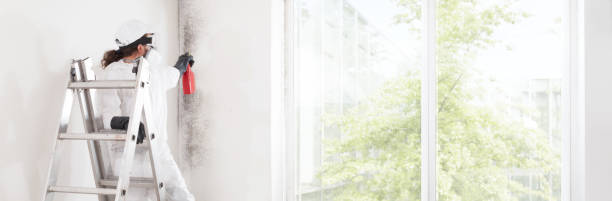 Best HVAC Mold Inspection and Cleaning  in Arcadia, IN