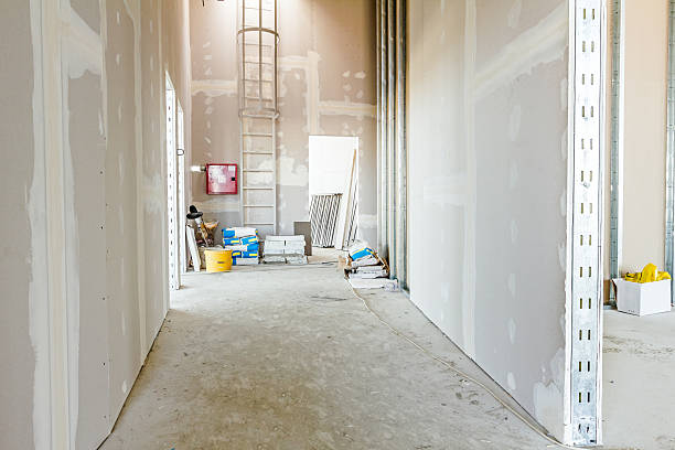Best Environmental Consulting for Mold Prevention  in Arcadia, IN