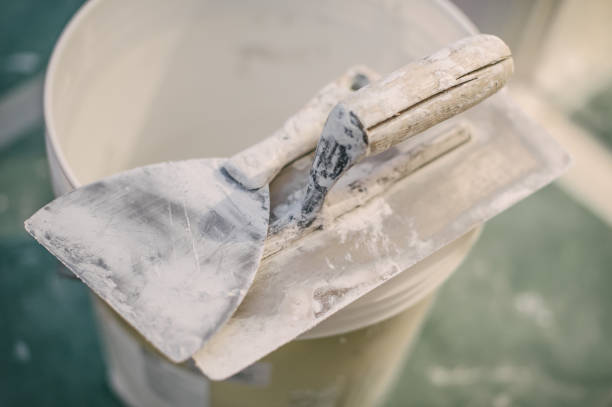 Best Mold Prevention Services  in Arcadia, IN